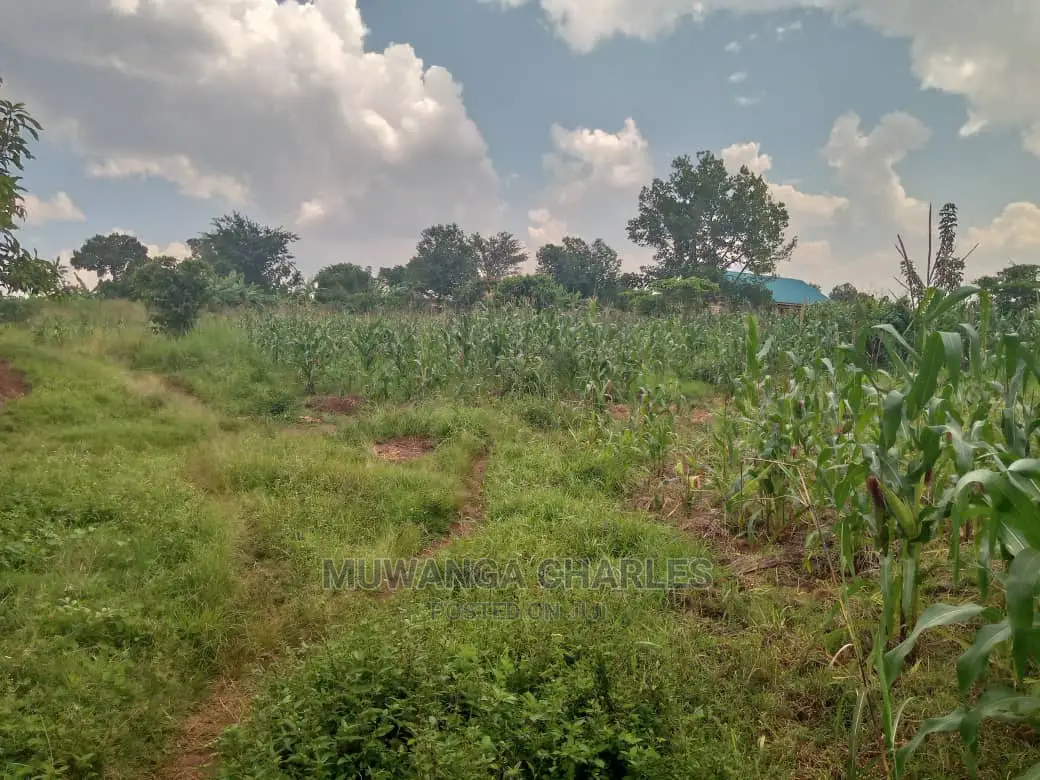 3acres of Land for Sale in Zirobwe Wakatayi