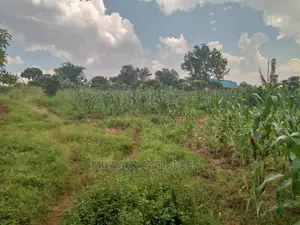 3acres of Land for Sale in Zirobwe Wakatayi