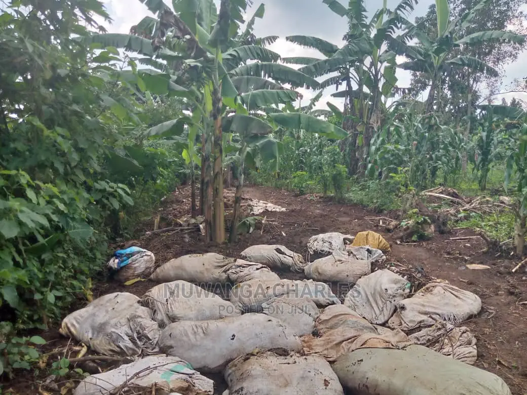 3acres of Land for Sale in Zirobwe Wakatayi