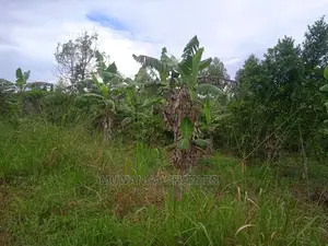 Land for Sale in Luwero Kamira
