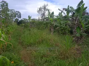 Land for Sale in Luwero Kamira