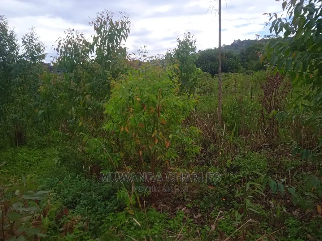 Land for Sale in Luwero Kamira