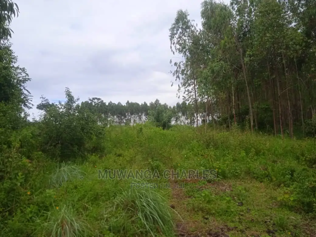 Land for Sale in Luwero Kamira