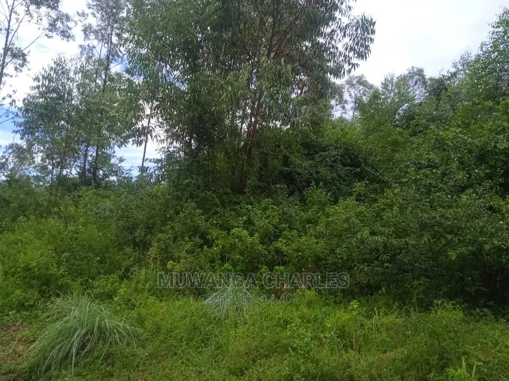 Land for Sale in Luwero Kamira