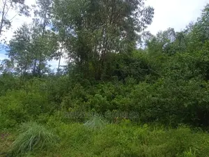 Land for Sale in Luwero Kamira