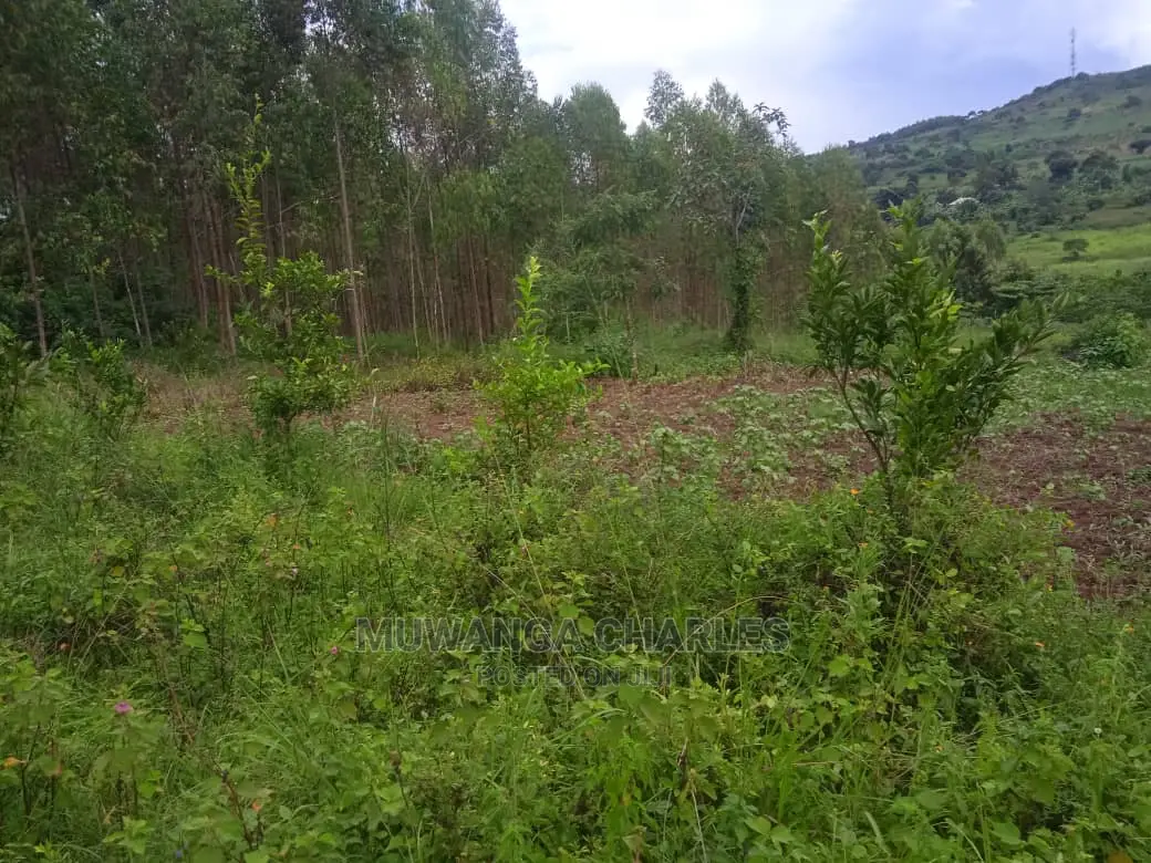 Land for Sale in Luwero Kamira