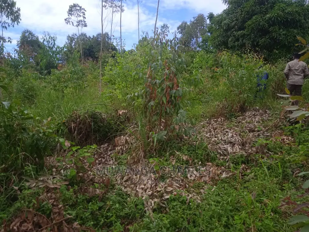 Land for Sale in Luwero Kamira