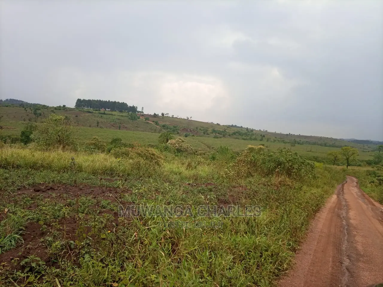 2.5acres of Land for Sale at Namanve