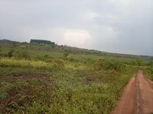 2.5acres of Land for Sale at Namanve