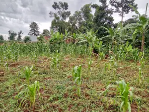 12decimals Plot in Gayaza Kabubu for Sale