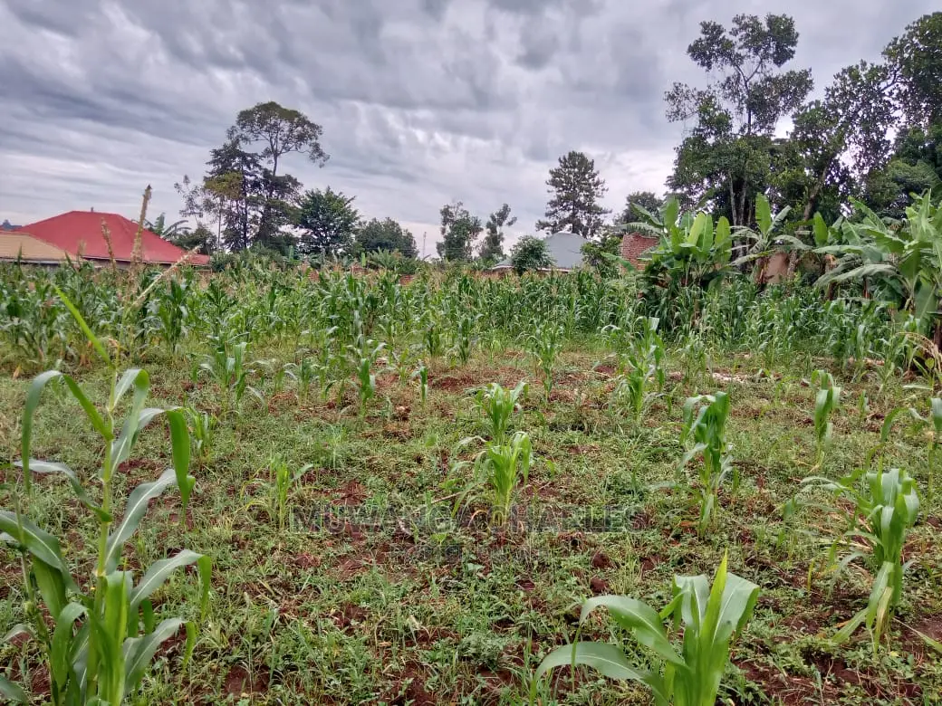 12decimals Plot in Gayaza Kabubu for Sale