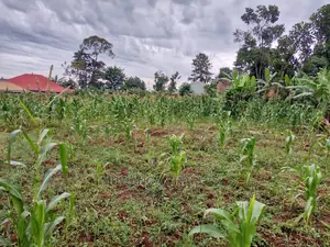 12decimals Plot in Gayaza Kabubu for Sale