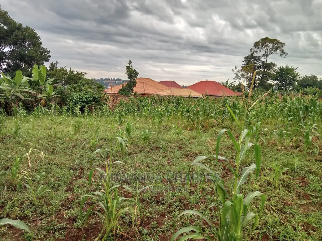 12decimals Plot in Gayaza Kabubu for Sale
