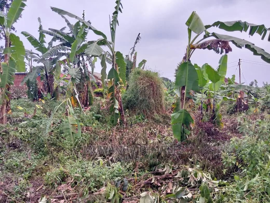 12decimals Plot in Gayaza Kabubu for Sale
