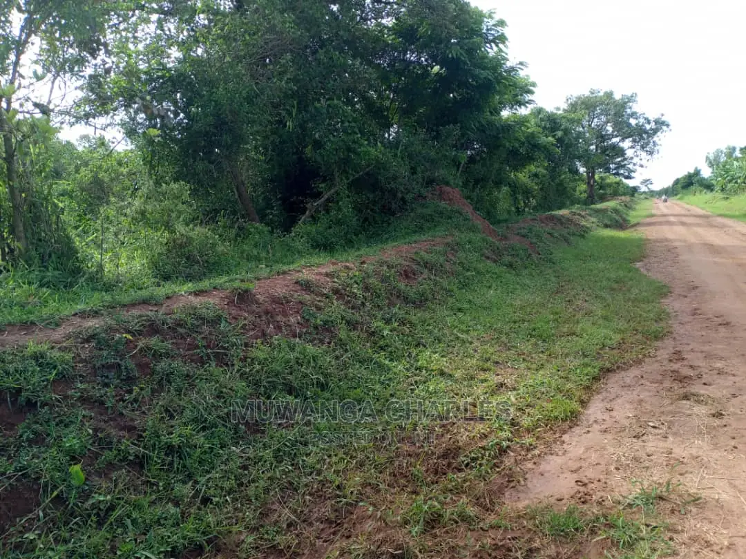 55acres of Land for Sale at Luwero Kabunyata