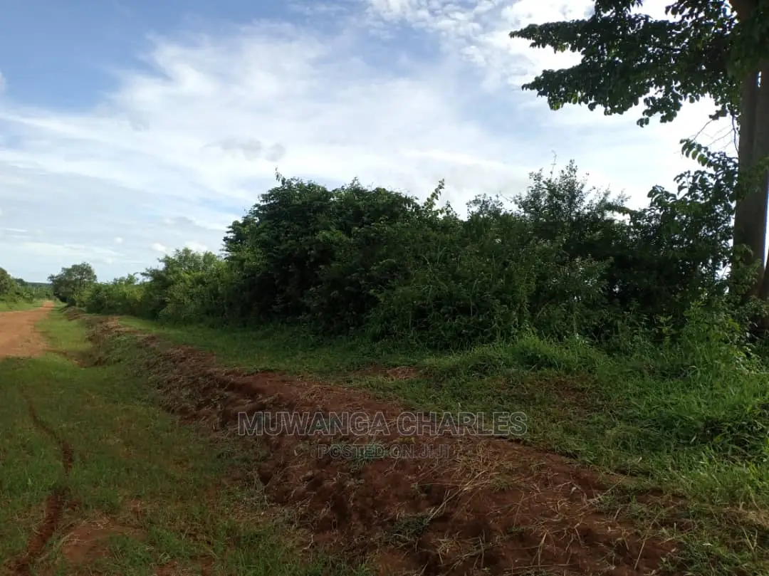 55acres of Land for Sale at Luwero Kabunyata
