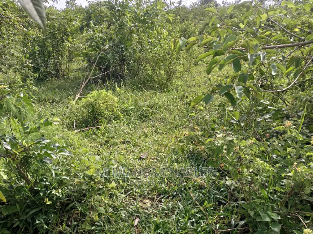 55acres of Land for Sale at Luwero Kabunyata