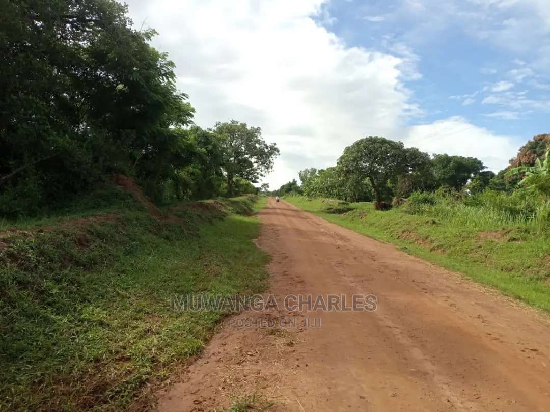 55acres of Land for Sale at Luwero Kabunyata