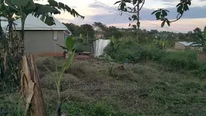 Plot in Gayaza Majigye for Sale