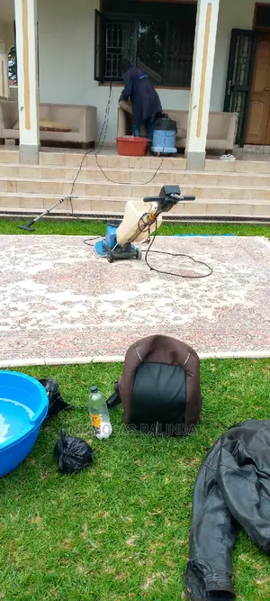 Cleaners for the Carpet