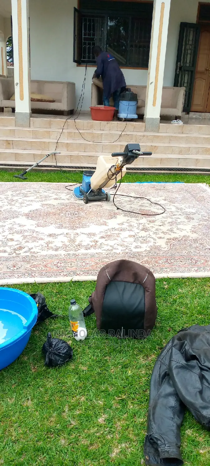 Cleaners for the Carpet