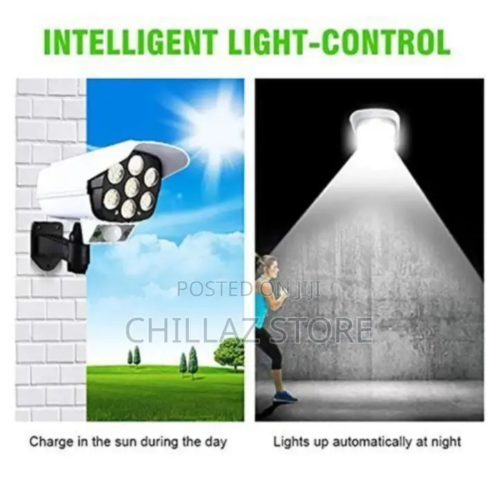Motion Sensor Solar Lights.