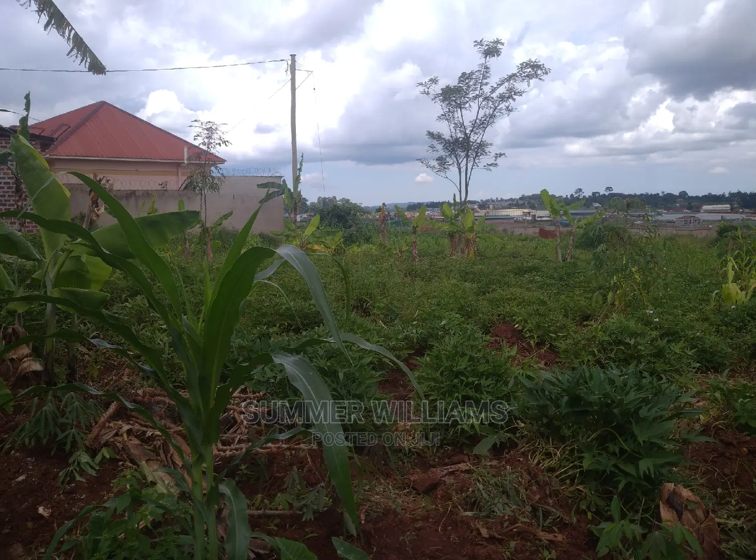 Land for Sale in Bukerere