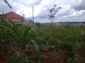 Photo - Land for Sale in Bukerere