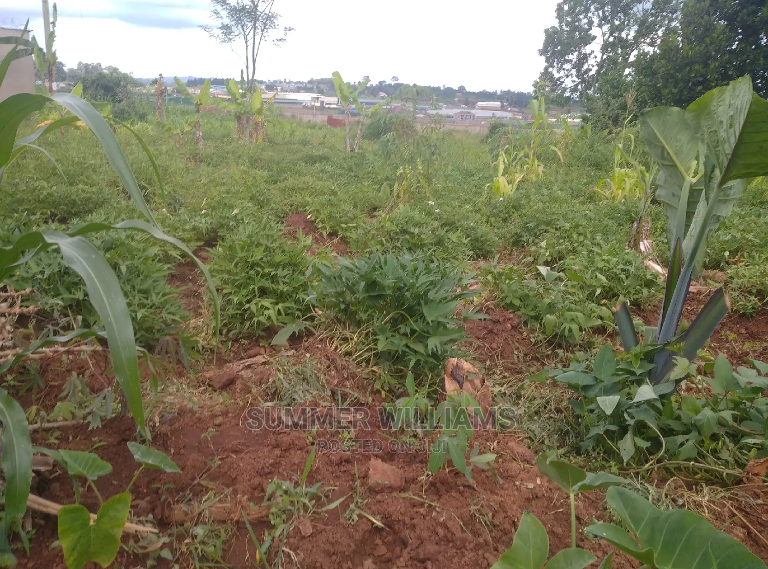 Land for Sale in Bukerere