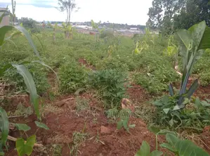Land for Sale in Bukerere