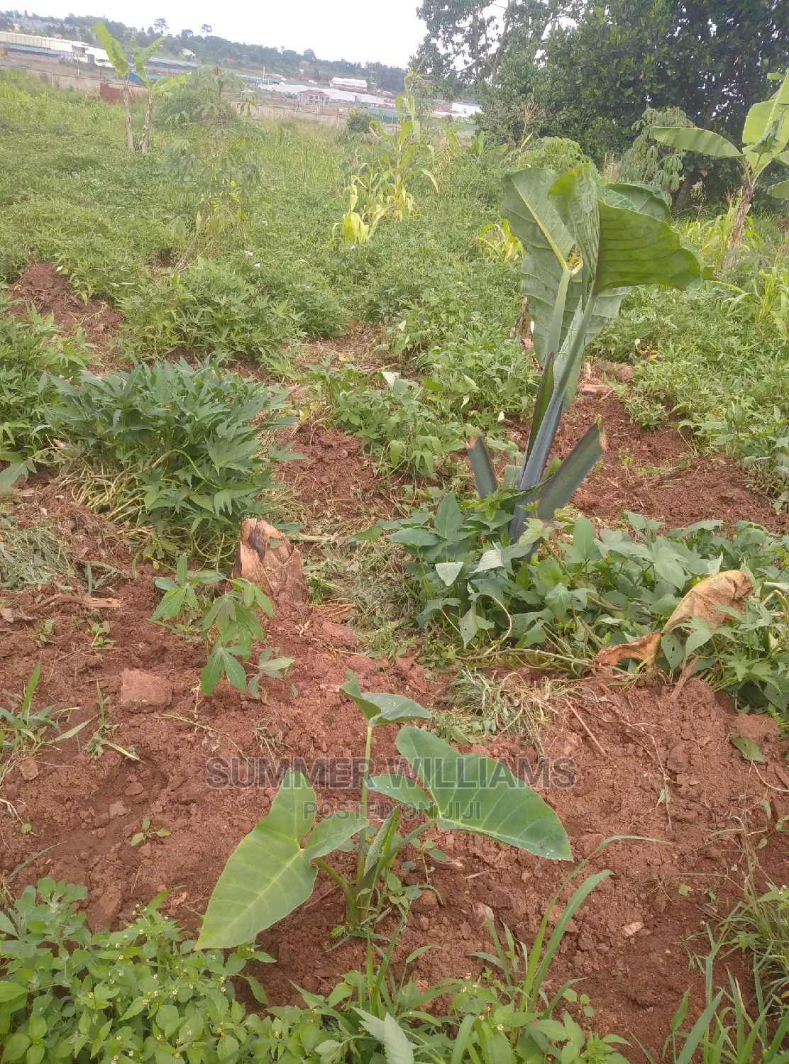 Land for Sale in Bukerere