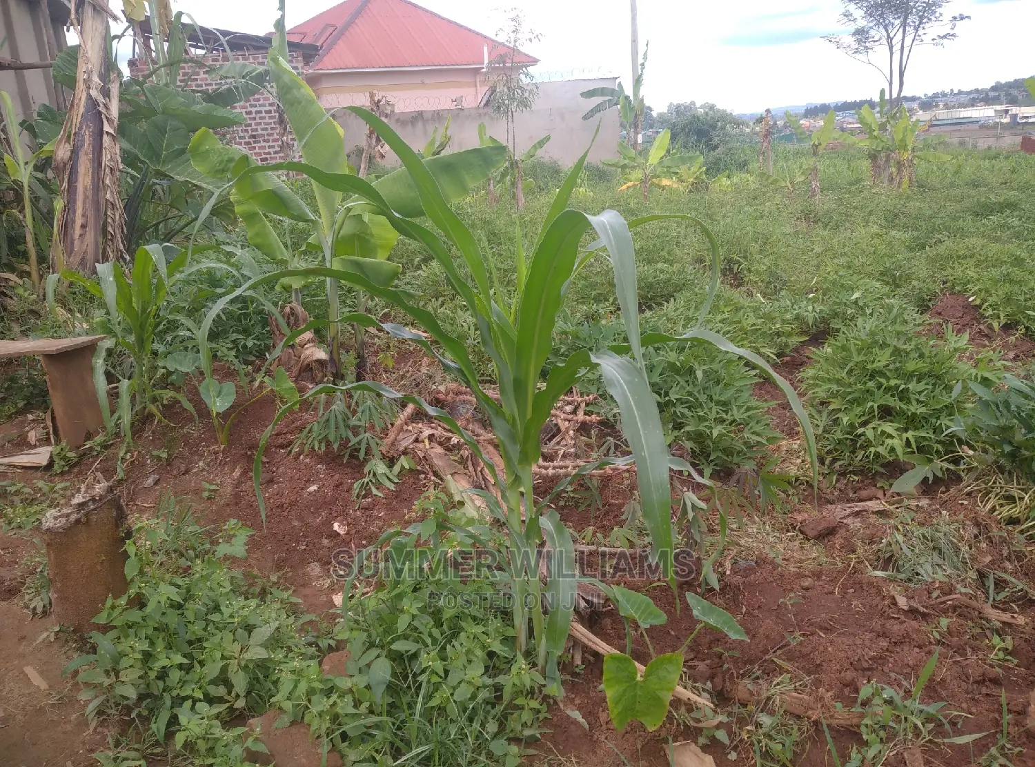 Land for Sale in Bukerere