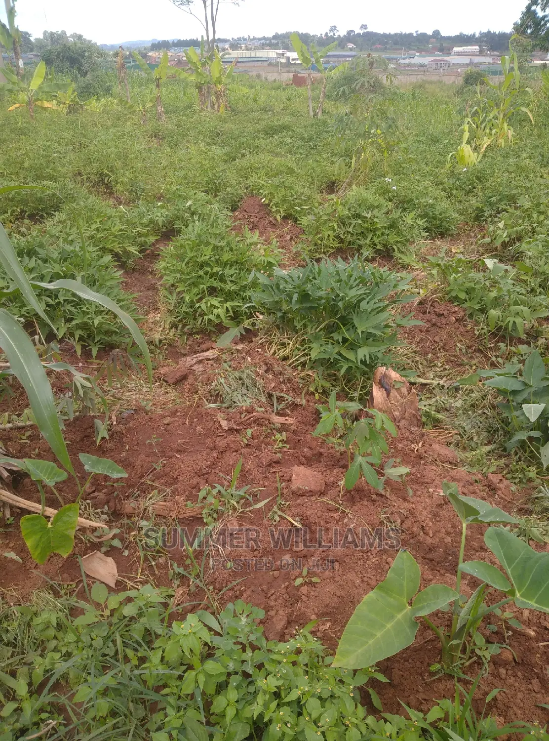 Land for Sale in Bukerere