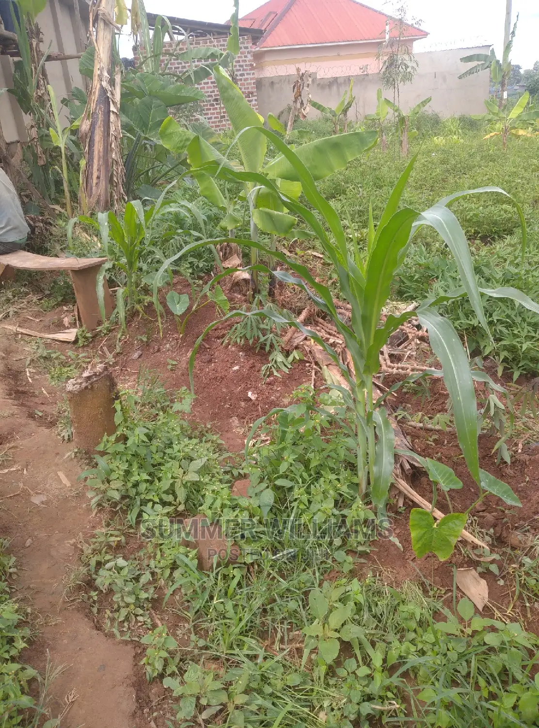Land for Sale in Bukerere