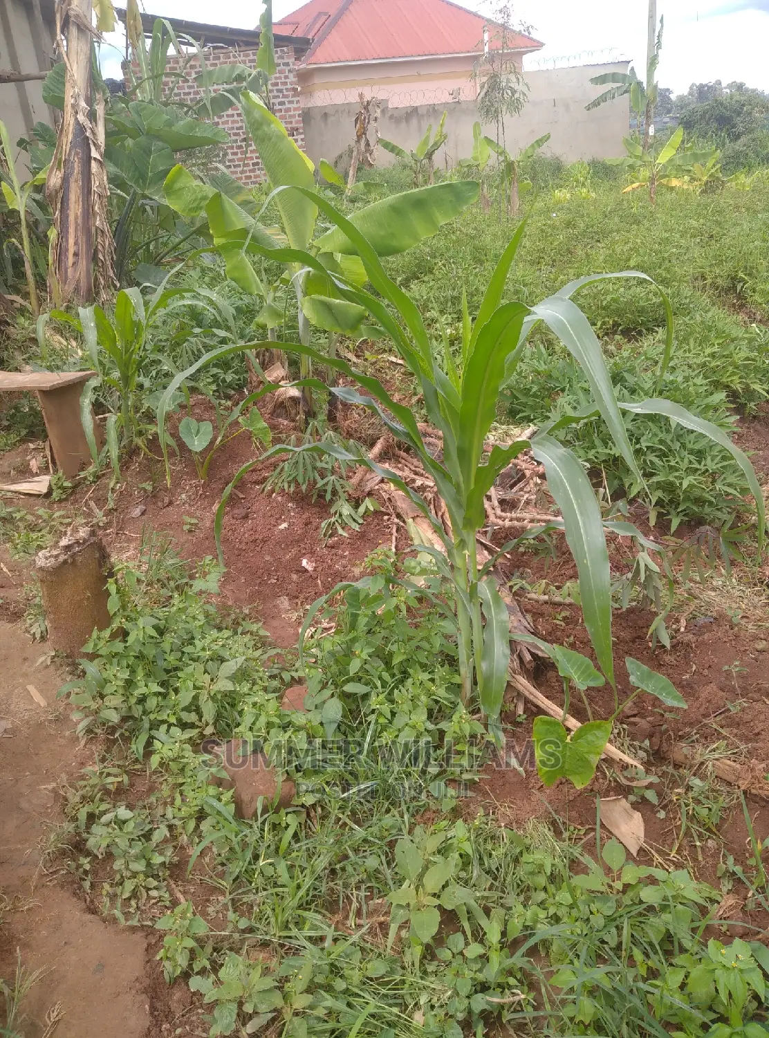 Land for Sale in Bukerere