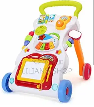Infant Multifunction Walker,