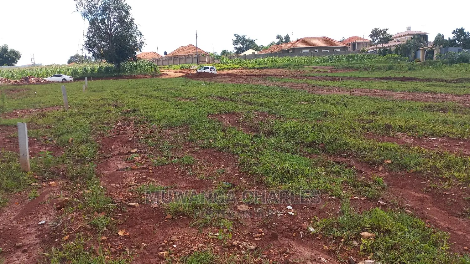 Plots in Kira Kimwanyi