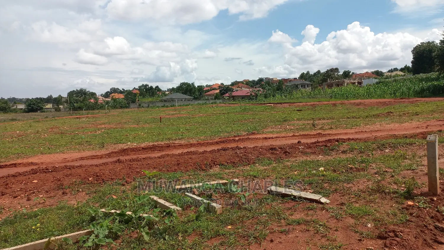 Plots in Kira Kimwanyi
