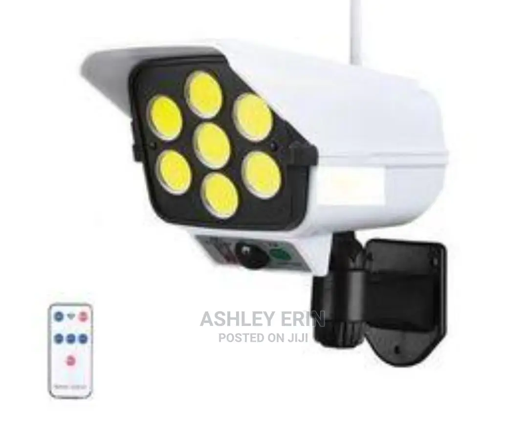 Solar Monitoring Light