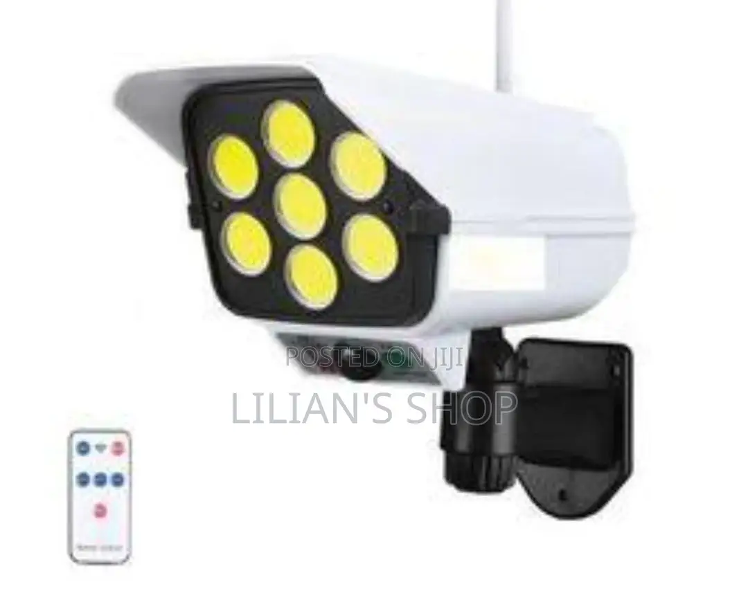 Solar Monitoring Light