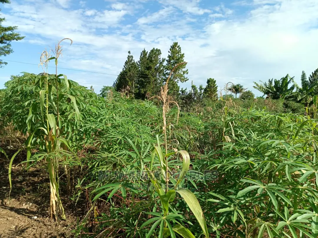 Plots in Gayaza for Sale
