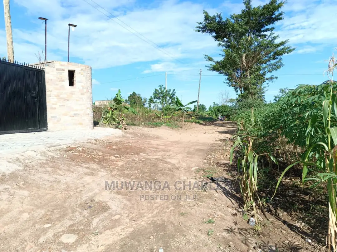 Plots In Kungu For Sale