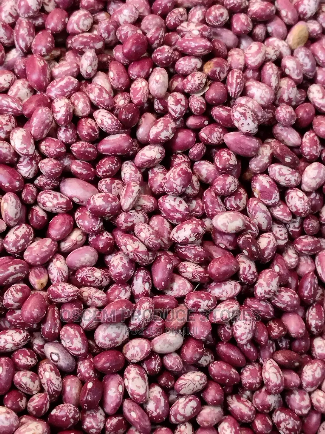 Nambale Beans