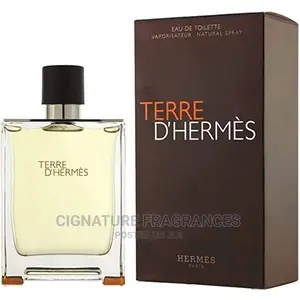 Terre d'Hermès Perfume for Men EDT