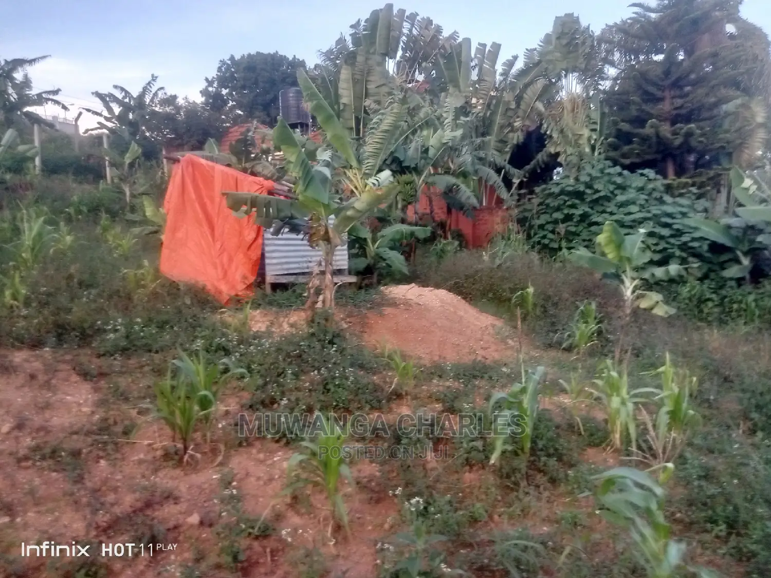 37decimals Plot in Buziga for Sale