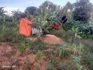 37decimals Plot in Buziga for Sale