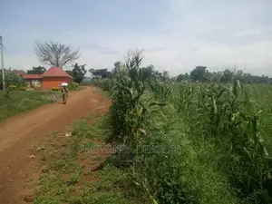 4acres of Land for Sale Zirobwe Tongo