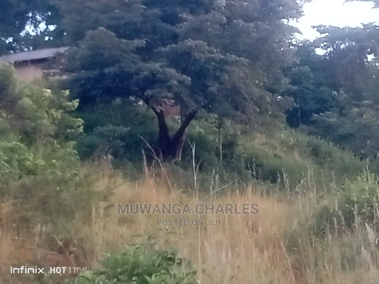 4acres of Land for Sale Zirobwe Tongo