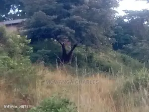 4acres of Land for Sale Zirobwe Tongo