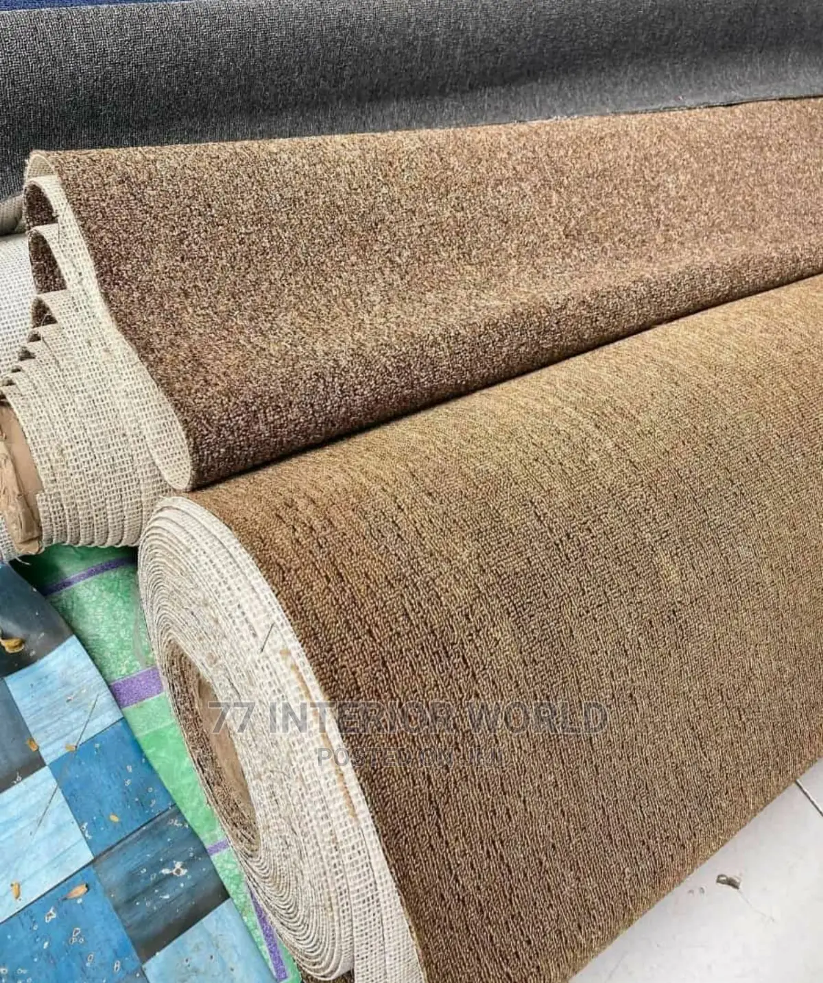 Wall to Wall Carpets/Woolen